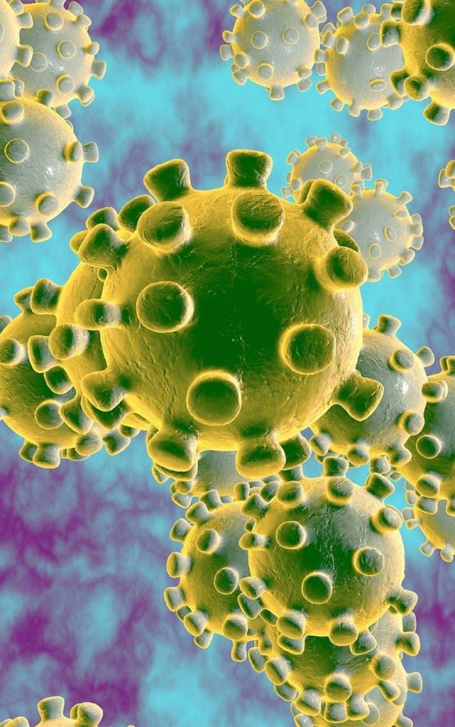 Voorzorgsmaatregelen voor het Coronavirus